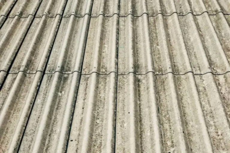 Cubierta de placas onduladas de fibrocemento gris envejecidas, con líquenes